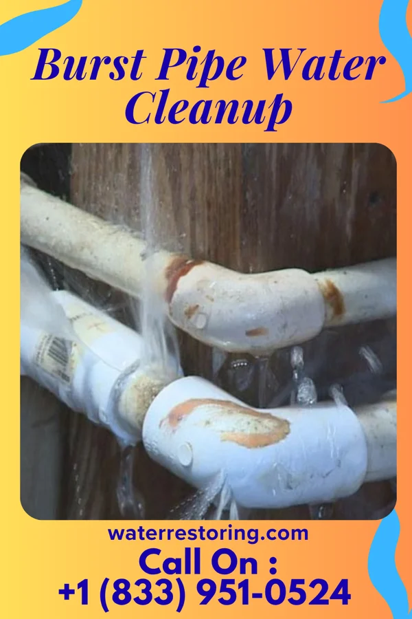 Burst Pipe Water Cleanup in Sherwood, WI