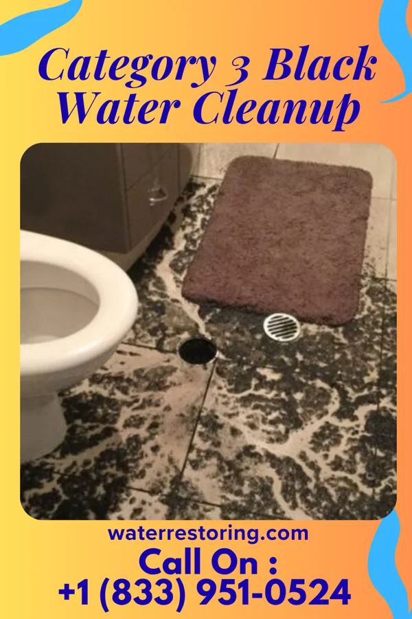 Category 3 Black Water Cleanup in Sherwood, WI