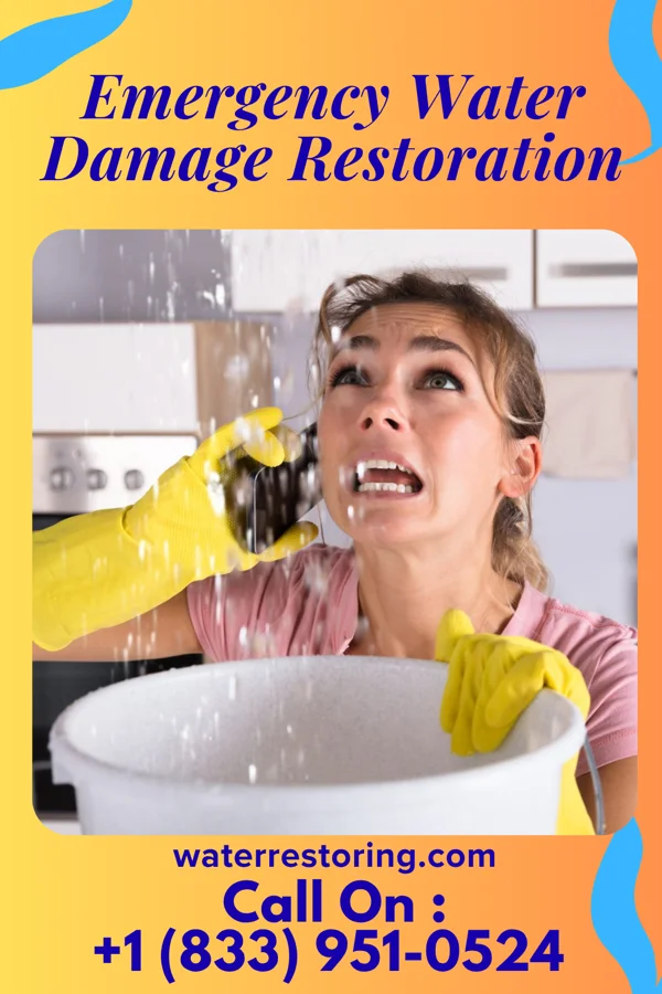 Emergency Water Damage Restoration in Sherwood, WI