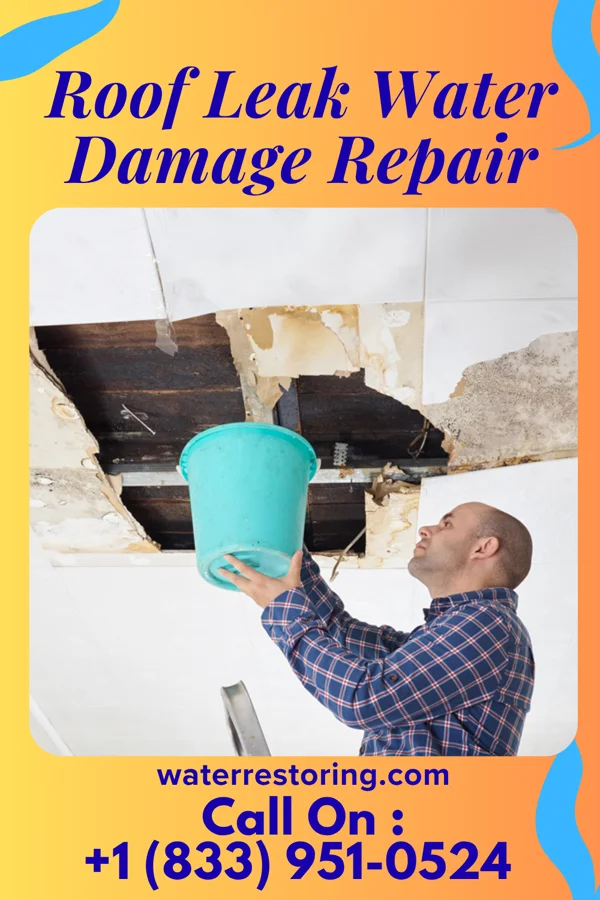 Roof Leak Water Damage Repair in Sherwood, WI
