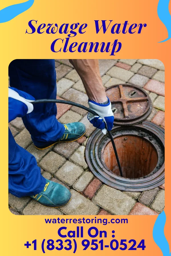 Sewage Water Cleanup in Sherwood, WI